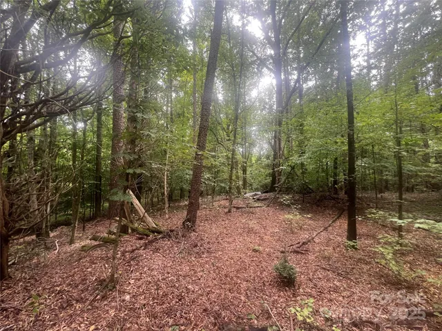 a view of a outdoor space with lots of trees