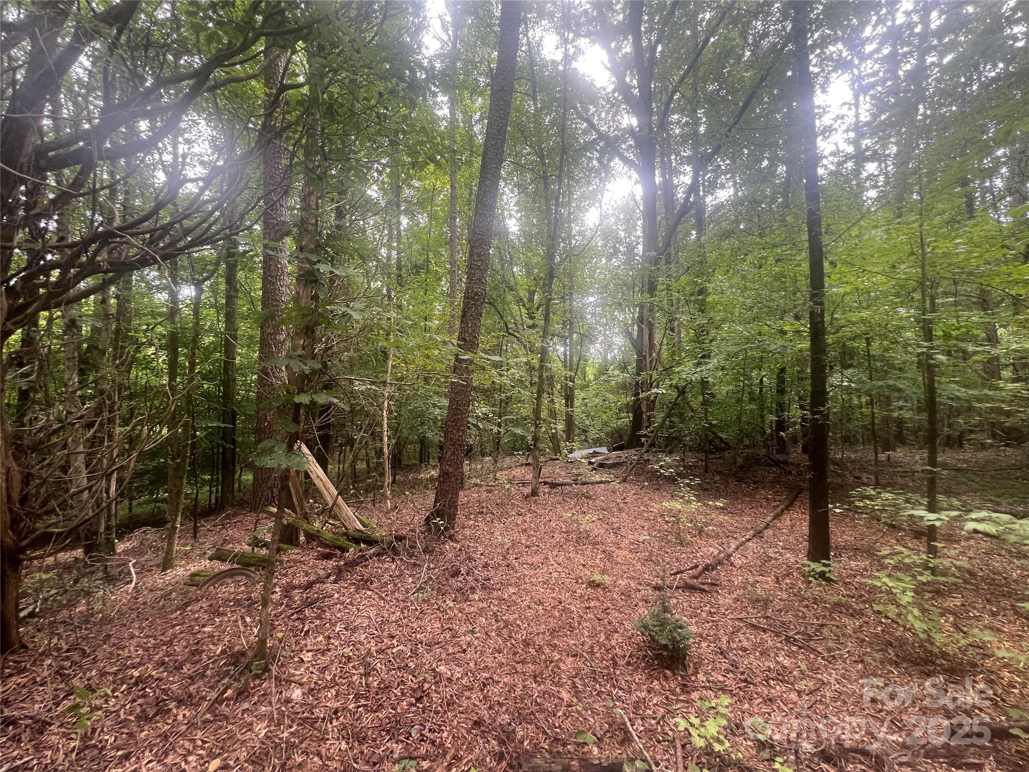 6017 Pagemont Road Kannapolis, NC 28081 - Photo 3 of 3 a view of a outdoor space with lots of trees