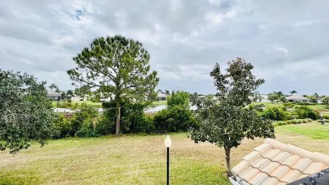 a street view with yard