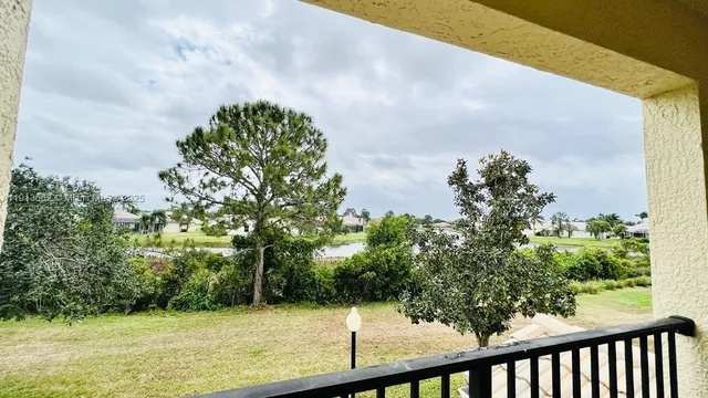 a view of a yard with large trees