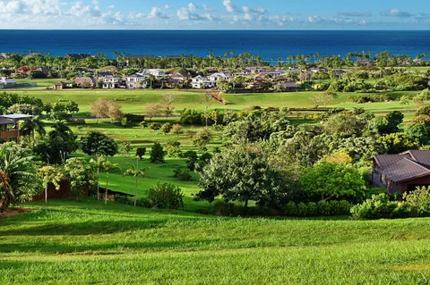 a view of a city with lawn chairs and large trees