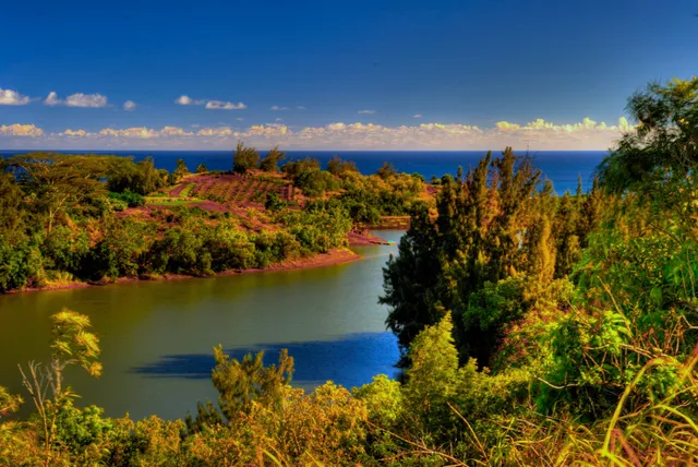 a view of a lake with a trees