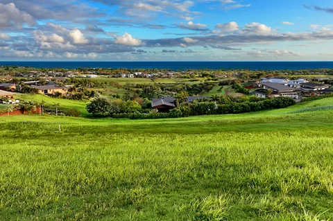 a view of a big yard with a large trees