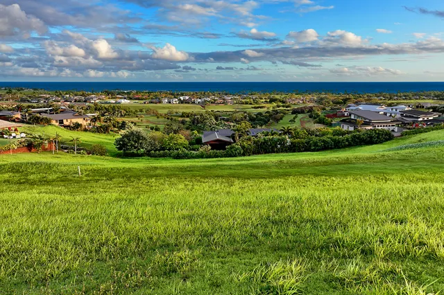a view of a big yard with a large trees