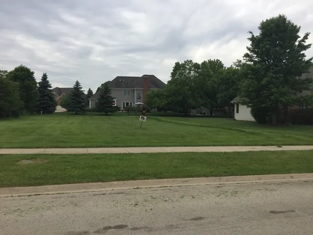 a view of a field with a big yard
