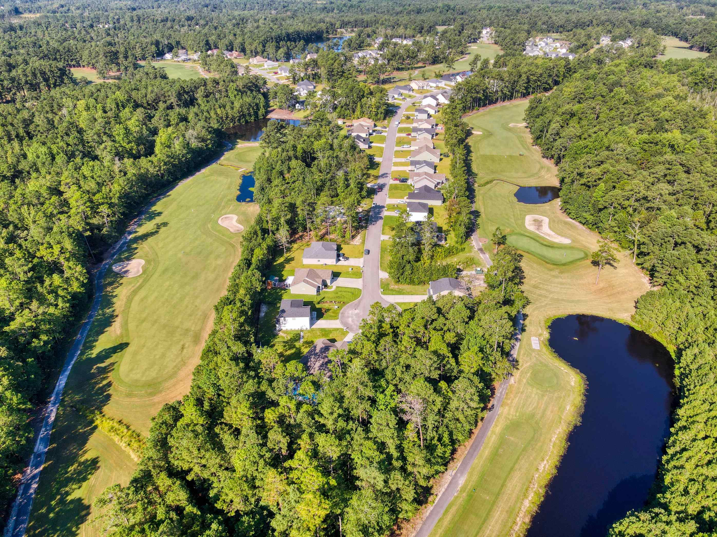 677 Timber Creek Drive Loris, SC 29569 - Photo 19 of 33 View from above of property with a forest