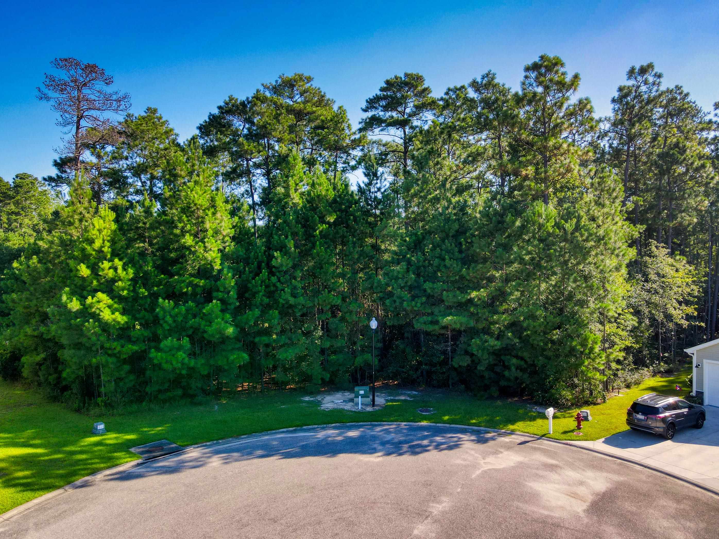 677 Timber Creek Drive Loris, SC 29569 - Photo 33 of 33 View of property location with a forest and a golf course