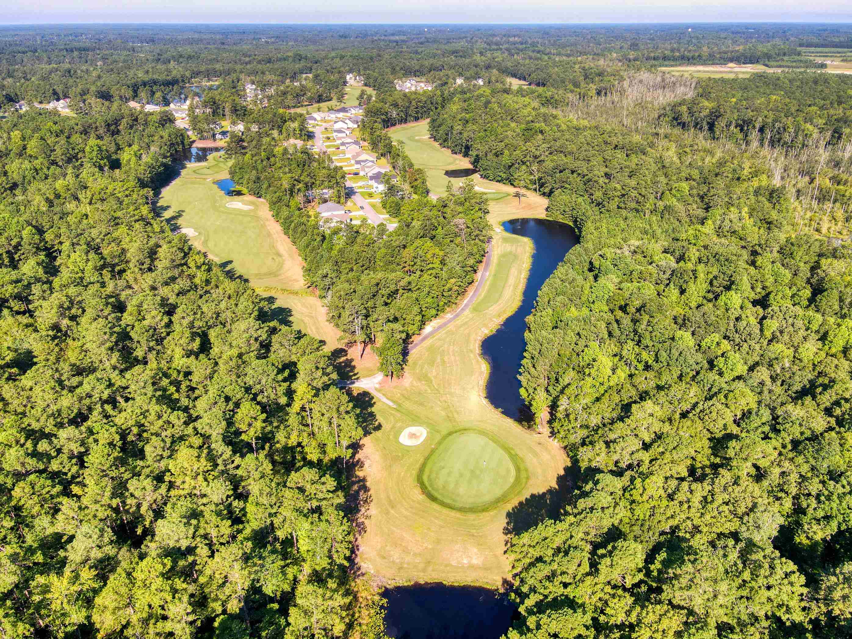 677 Timber Creek Drive Loris, SC 29569 - Photo 8 of 33