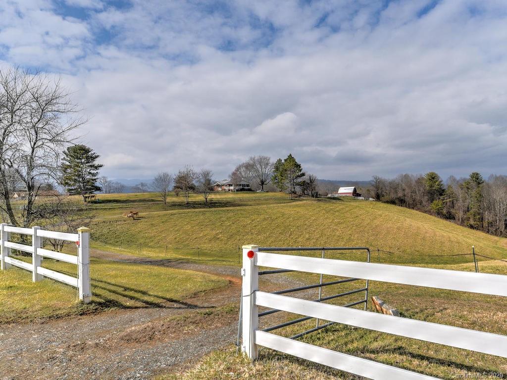 321 Gouges Branch Road Leicester, NC 28748 - Photo 39 of 48 a view of a yard and an ocean view
