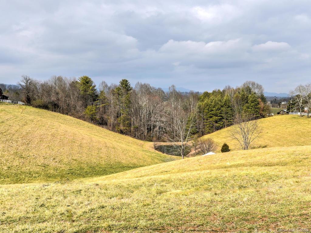 321 Gouges Branch Road Leicester, NC 28748 - Photo 41 of 48 a view of ocean with large trees