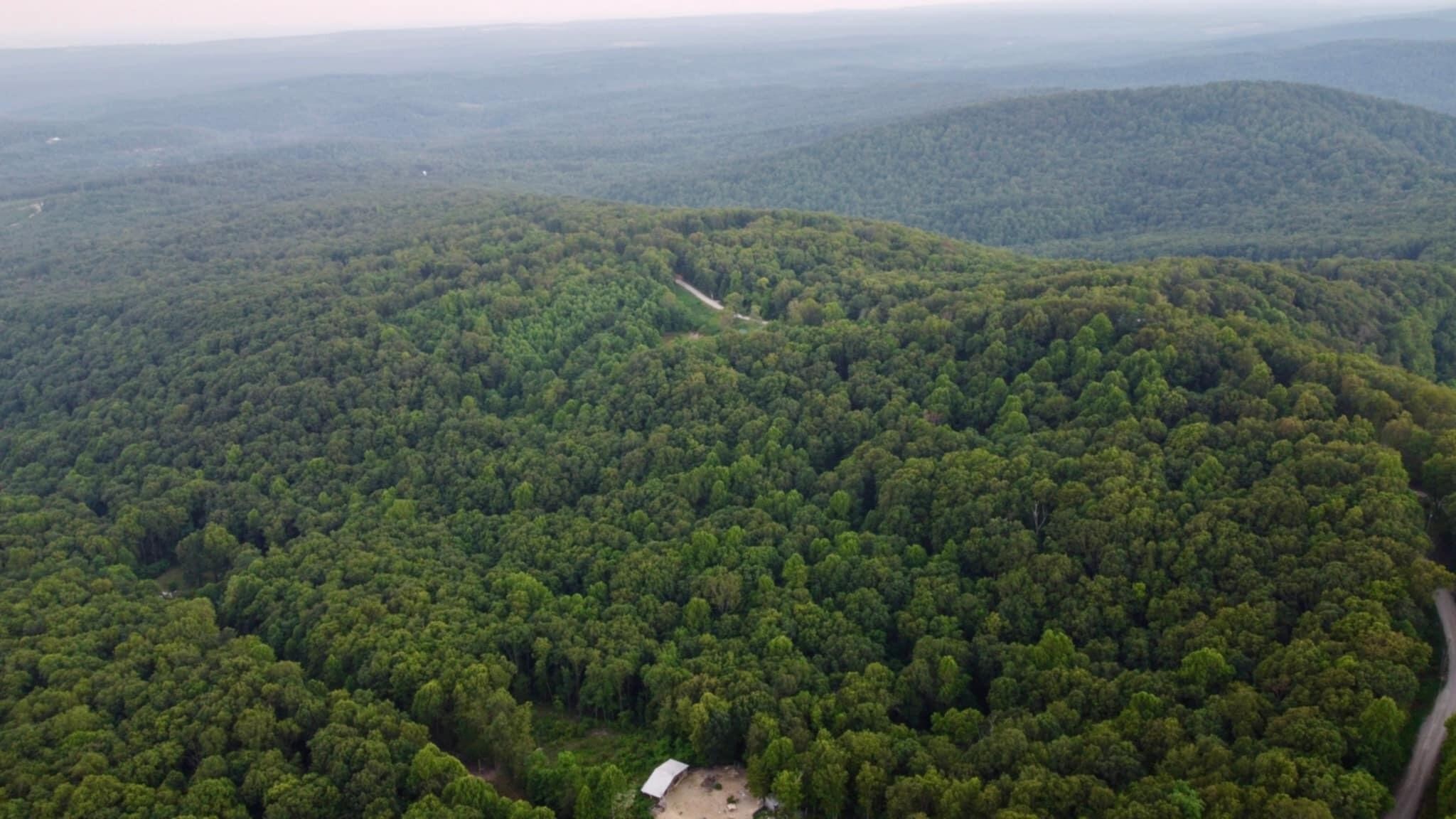 521 Browns Holler Road Spring City, TN 37381 - Photo 5 of 16