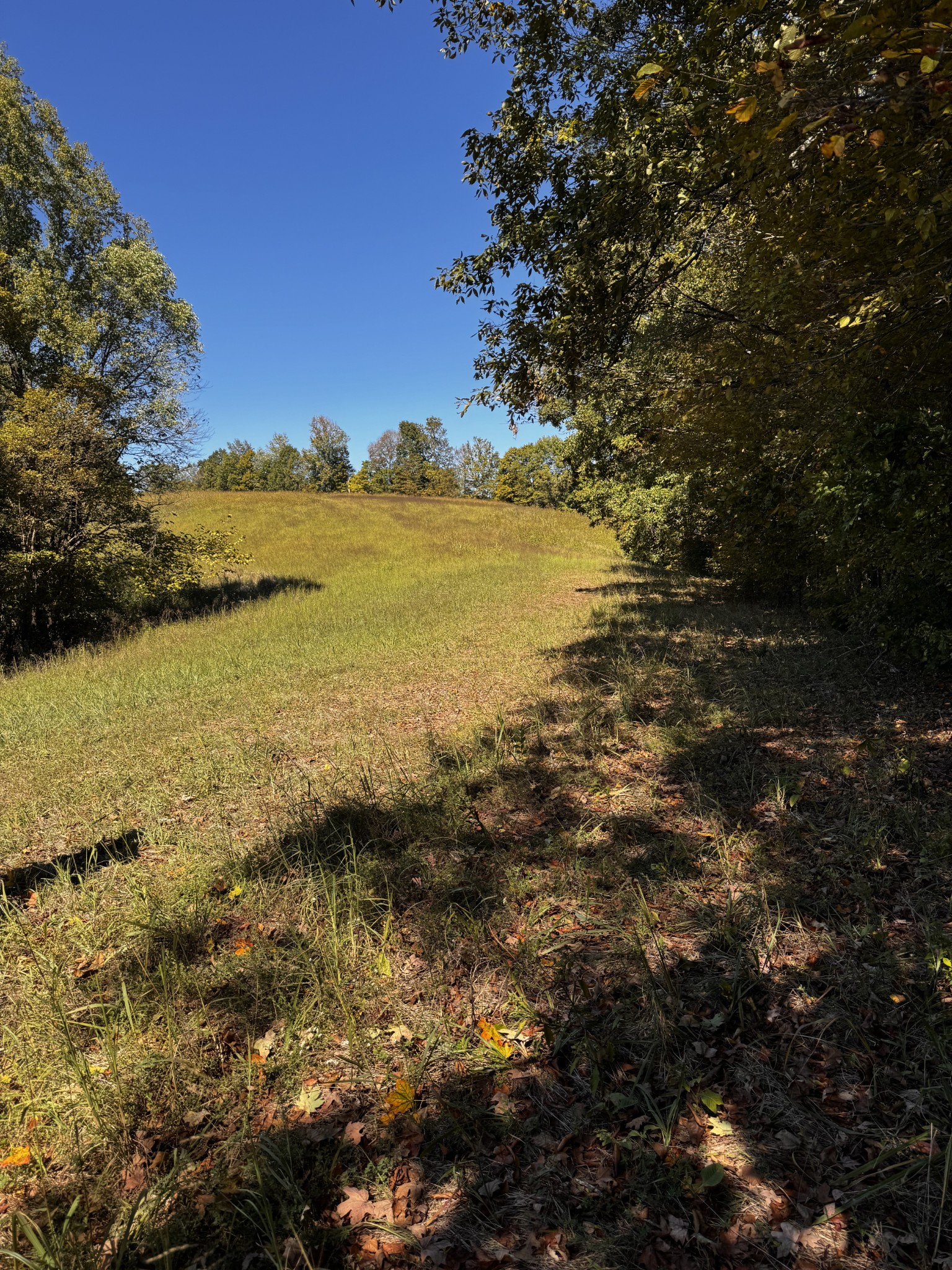 10446 Bold Springs Road McEwen, TN 37101 - Photo 54 of 54 a view of an ocean