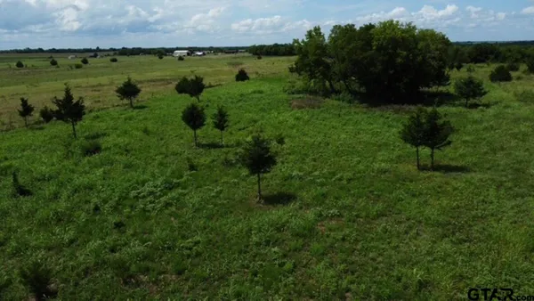 a view of a lush green forest with lots of green space and mountain view in back