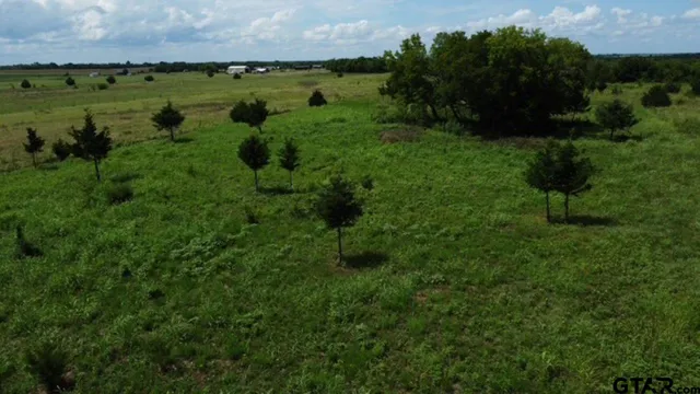 a view of a lush green forest with lots of green space and mountain view in back