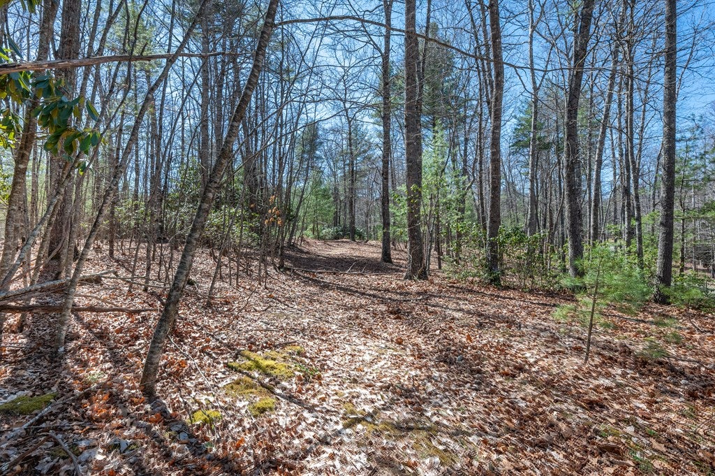 Lot 12 Ridge Line Trail, Unit 12 Independence, VA 24348 - Photo 29 of 66 Gallery Image 29