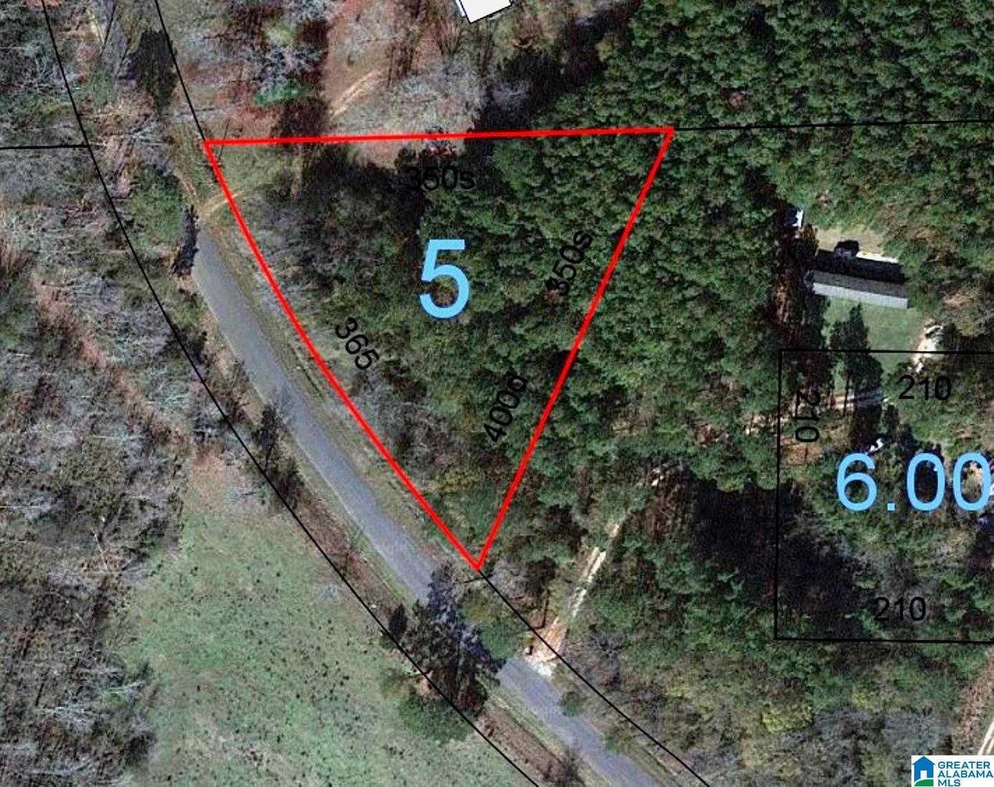 4555 Pleasant Hill Road Ashland, AL 36251 - Photo 10 of 10