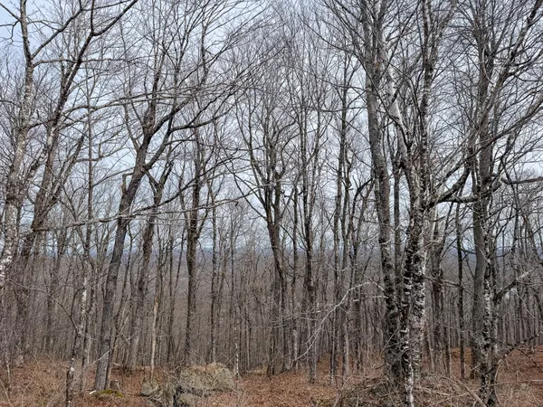 $499,900 | M1-l22 Moosehead Trail Highway, Dixmont, ME 04932
