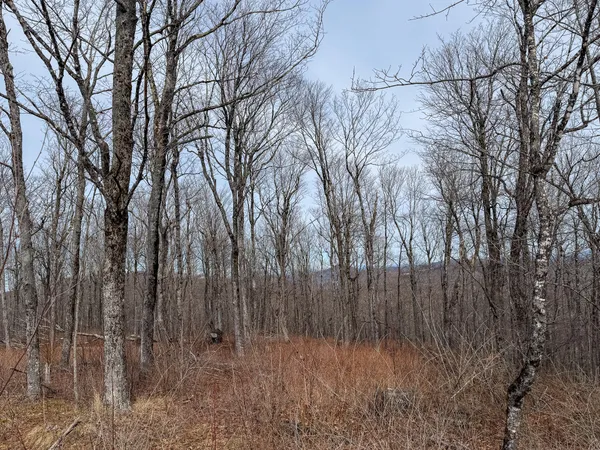 $499,900 | M1-l22 Moosehead Trail Highway, Dixmont, ME 04932