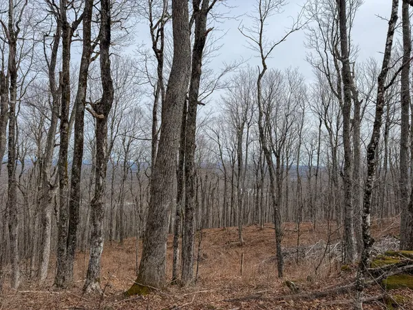 $499,900 | M1-l22 Moosehead Trail Highway, Dixmont, ME 04932