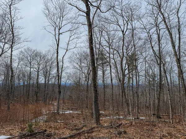 $499,900 | M1-l22 Moosehead Trail Highway, Dixmont, ME 04932
