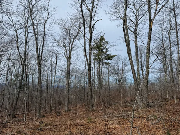 $499,900 | M1-l22 Moosehead Trail Highway, Dixmont, ME 04932