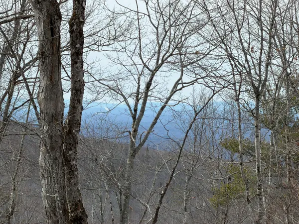 $499,900 | M1-l22 Moosehead Trail Highway, Dixmont, ME 04932
