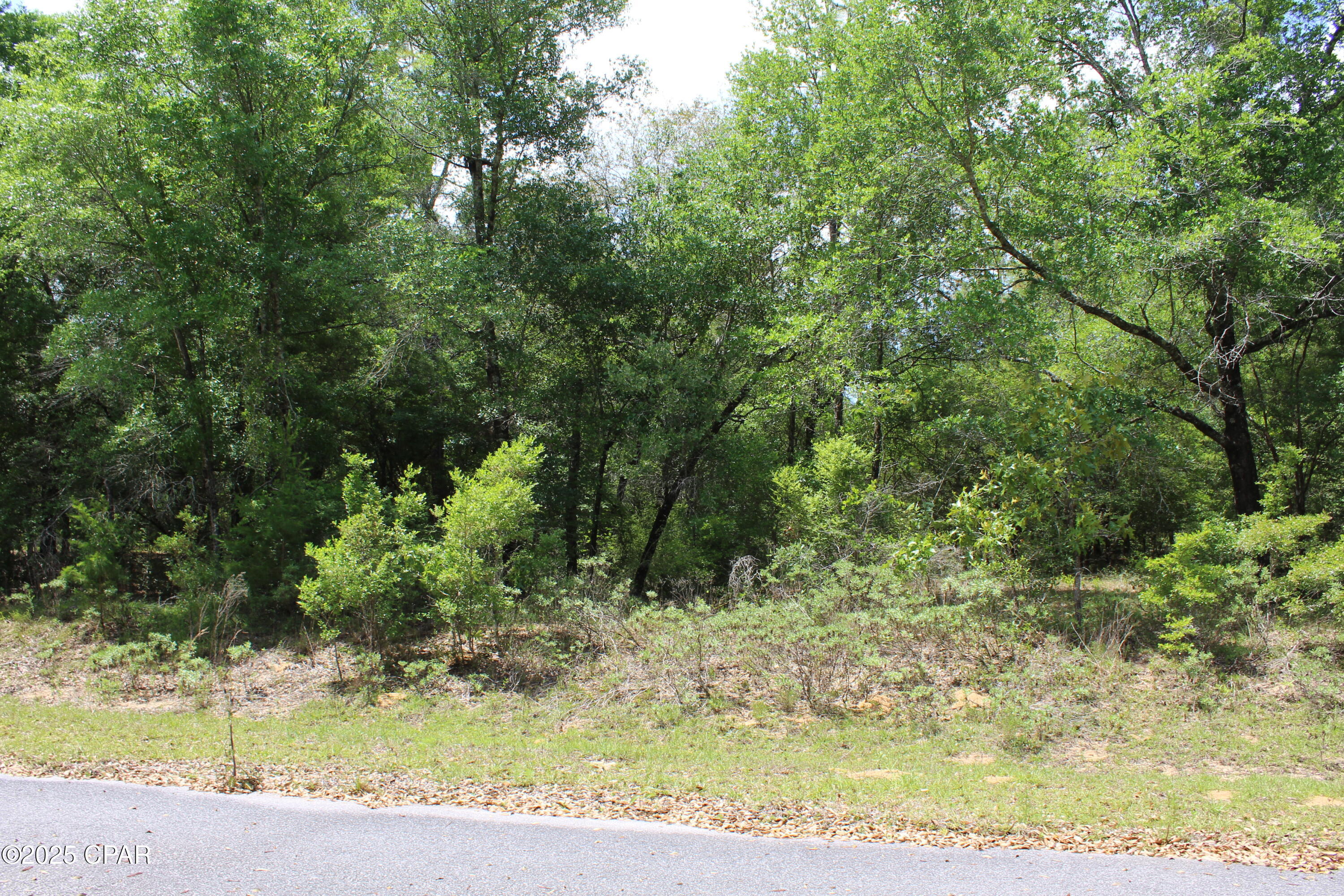 Lot 5 Arnone Lane Chipley, FL 32428 - Photo 5 of 11