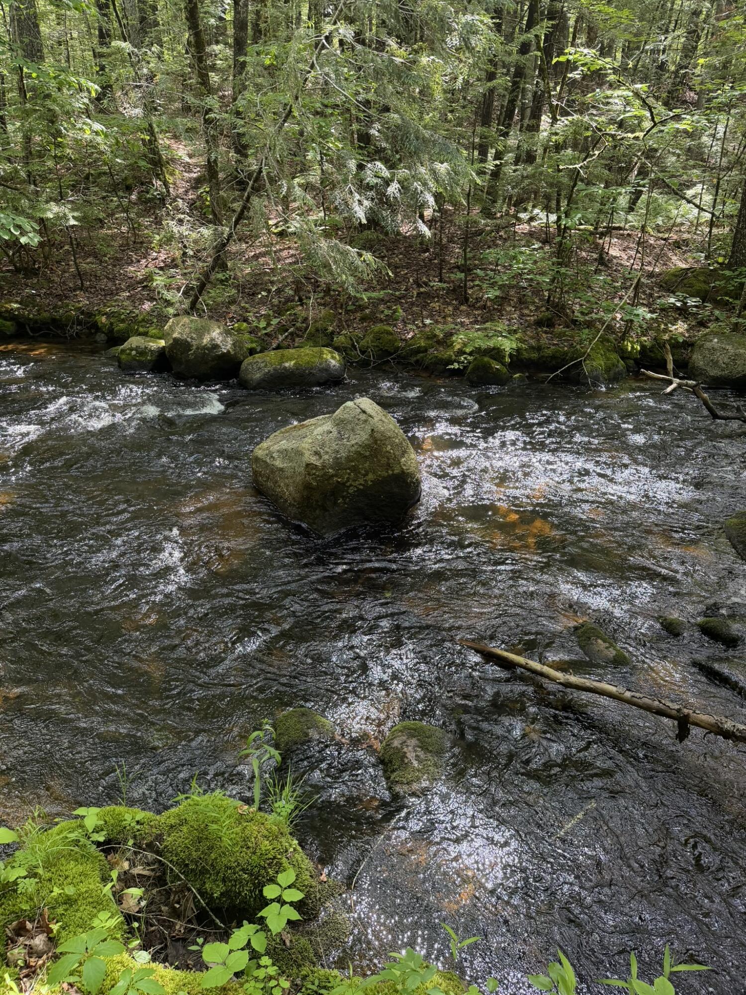 Lot 44 Rolfe Road Harrison, ME 04040 - Photo 17 of 21 IMG_1113
