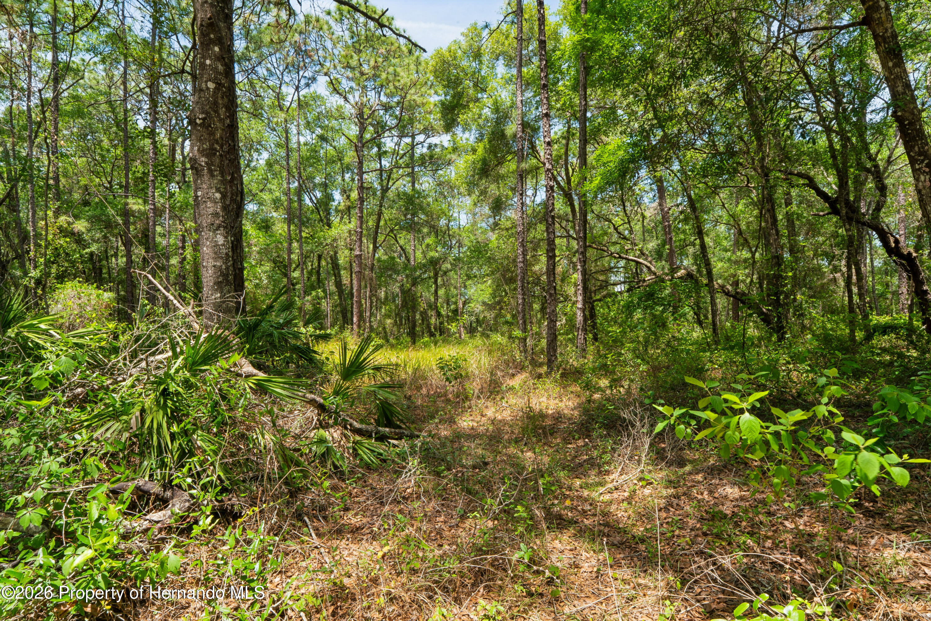 16225 Bonzai Trail Spring Hill, FL 34613 - Photo 58 of 81