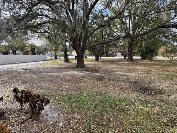 a view of outdoor space with trees