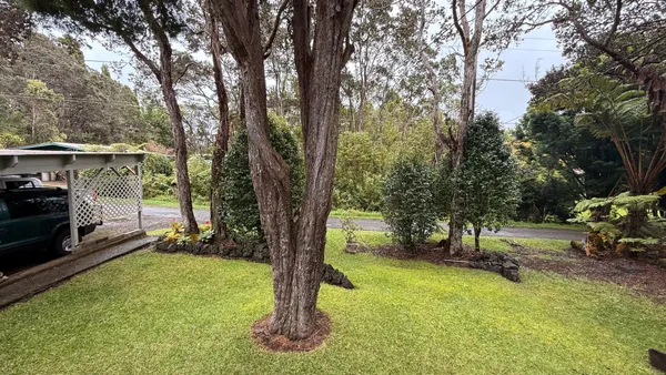 a view of outdoor space with deck and tree