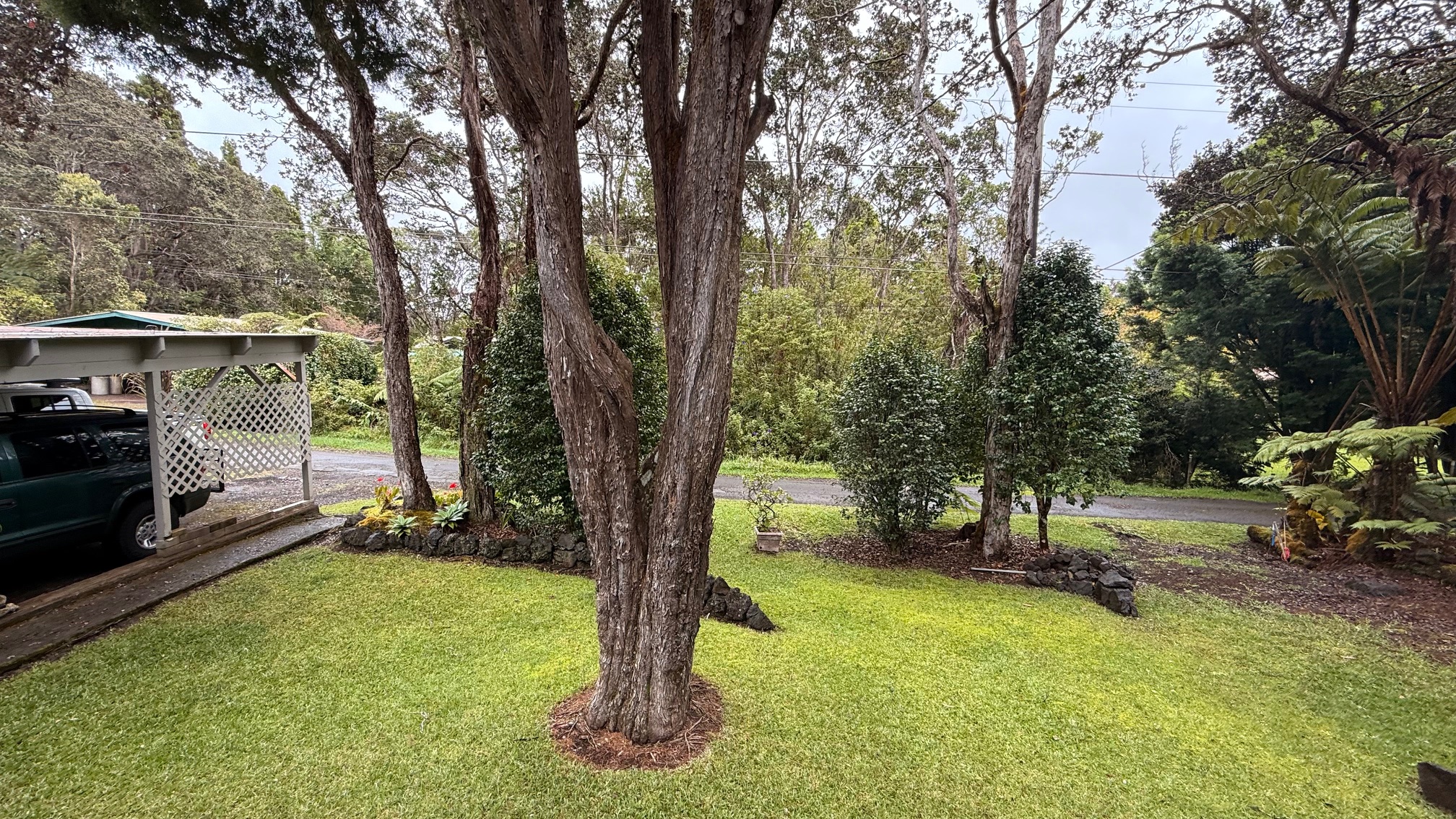 a view of outdoor space with deck and tree