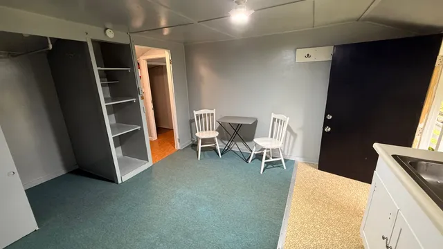 a bathroom with a shower and toilet