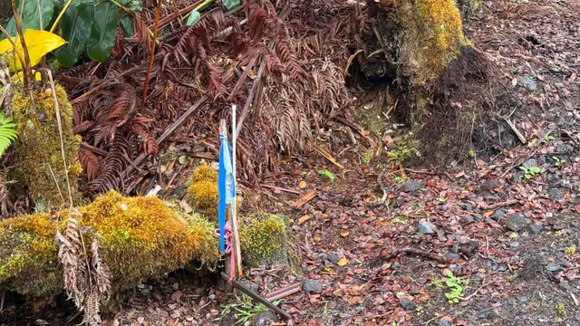 $359,000 | 19-4113 Kalani Honua Loop, Volcano, HI 96785