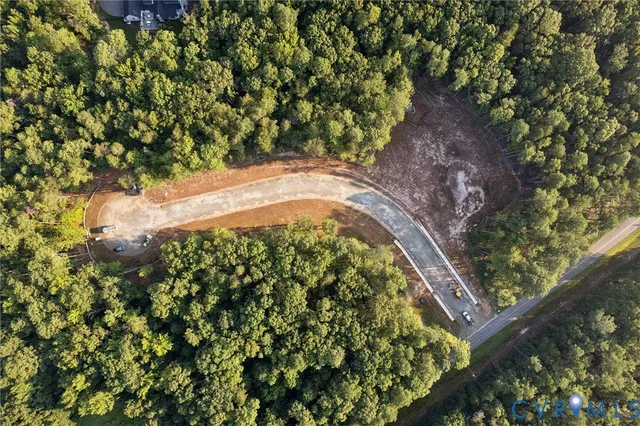 a view of a garden with a tree