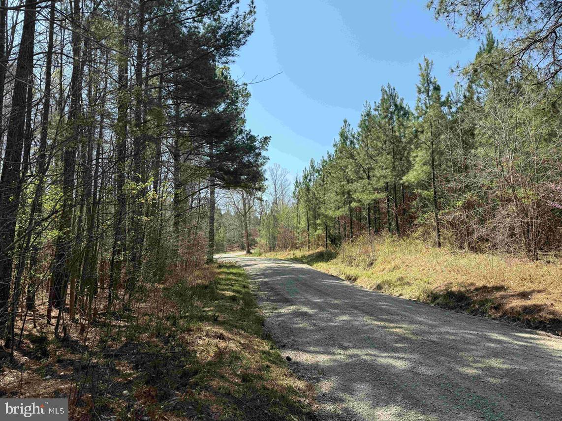 Dabney House Road Vernon Hill, VA 24597 - Photo 11 of 14 a view of dirt yard with a large tree