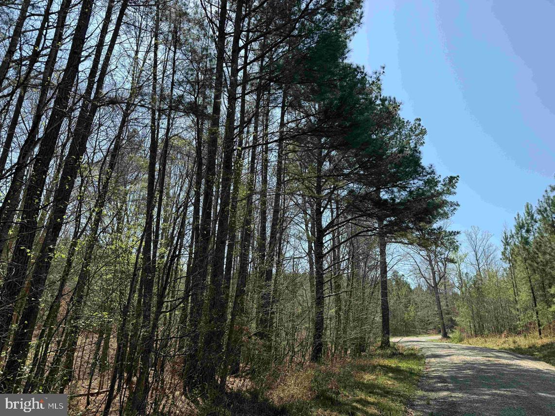 Dabney House Road Vernon Hill, VA 24597 - Photo 12 of 14