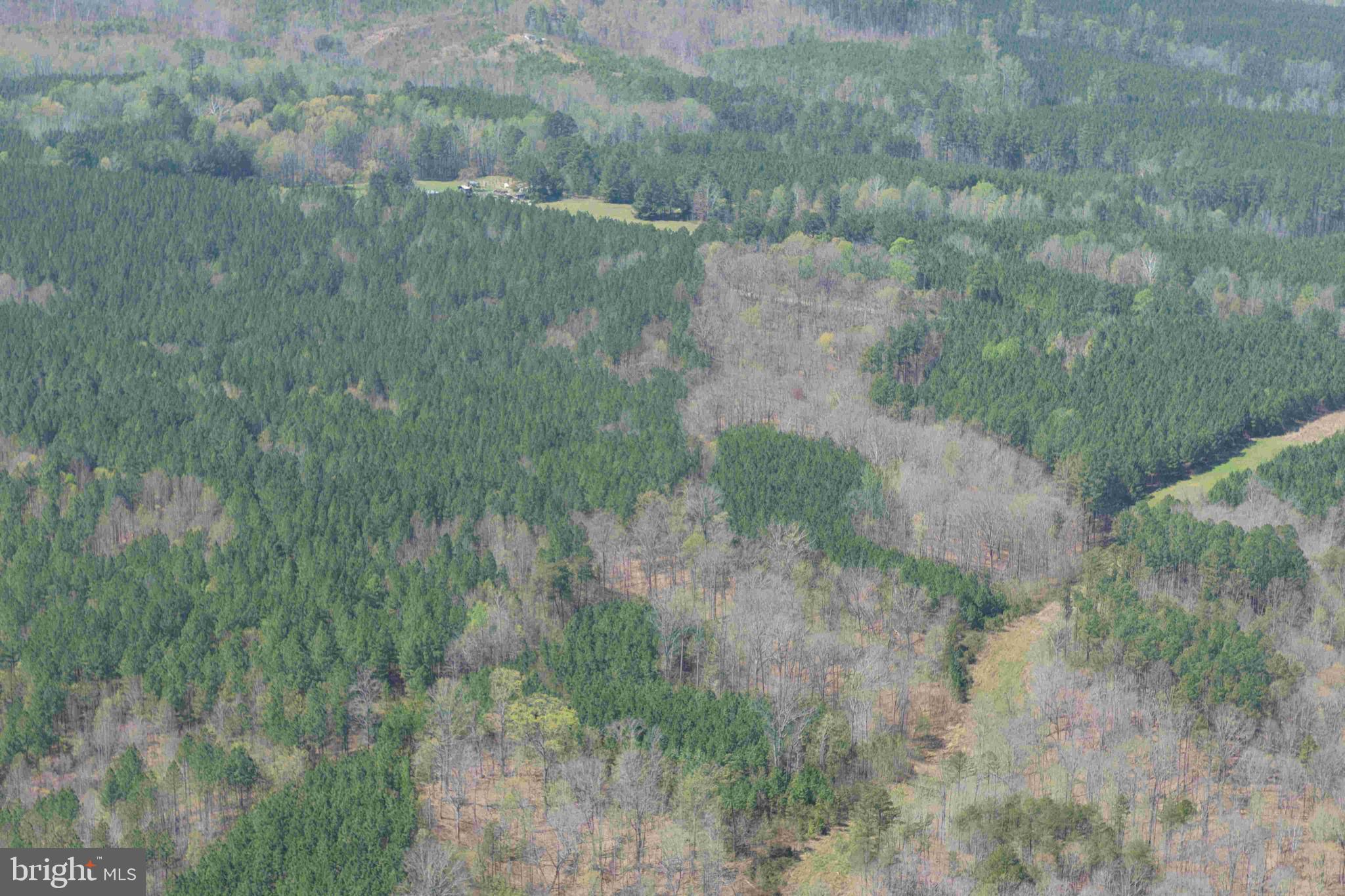 Dabney House Road Vernon Hill, VA 24597 - Photo 14 of 14 a view of a forest with a street