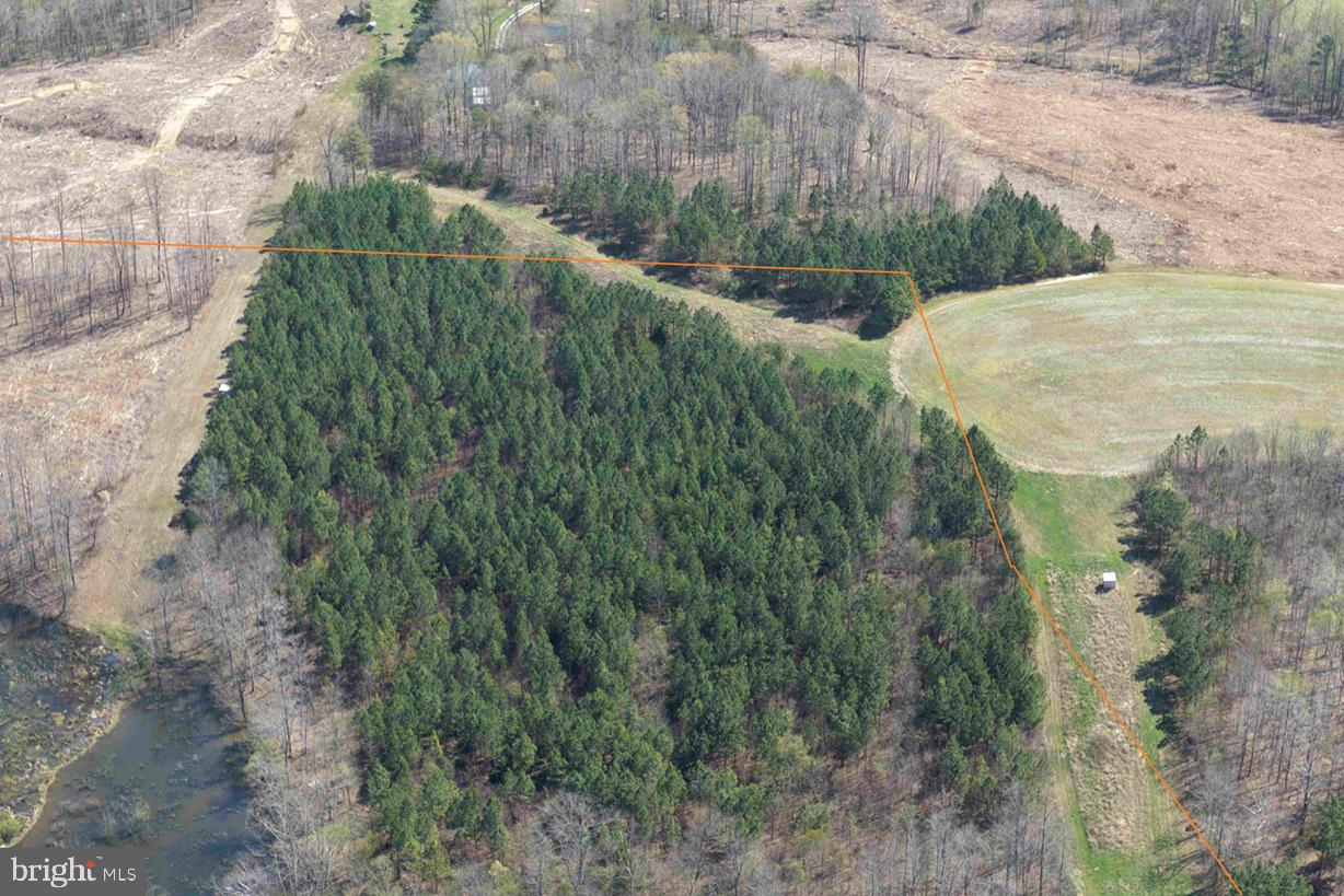 Dabney House Road Vernon Hill, VA 24597 - Photo 9 of 14 a view of a green yard with large trees
