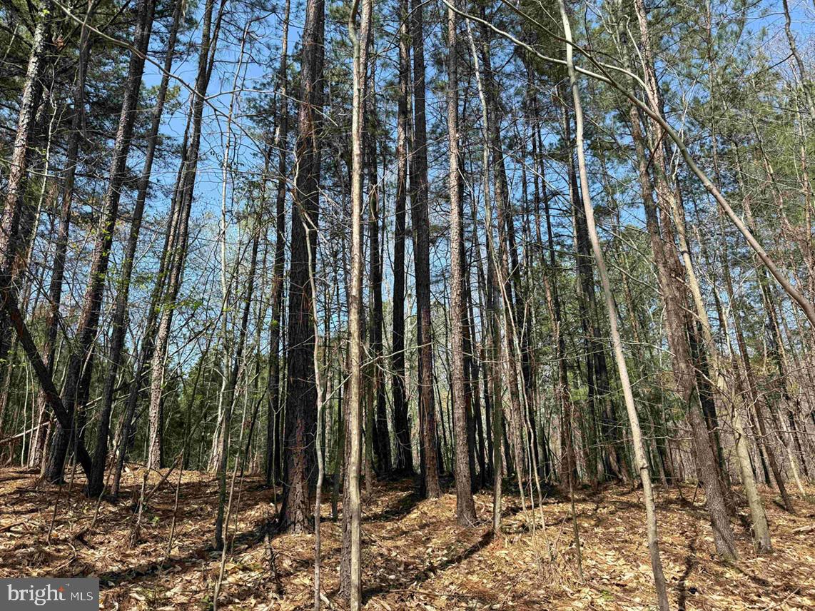 Dabney House Road Vernon Hill, VA 24597 - Photo 10 of 14