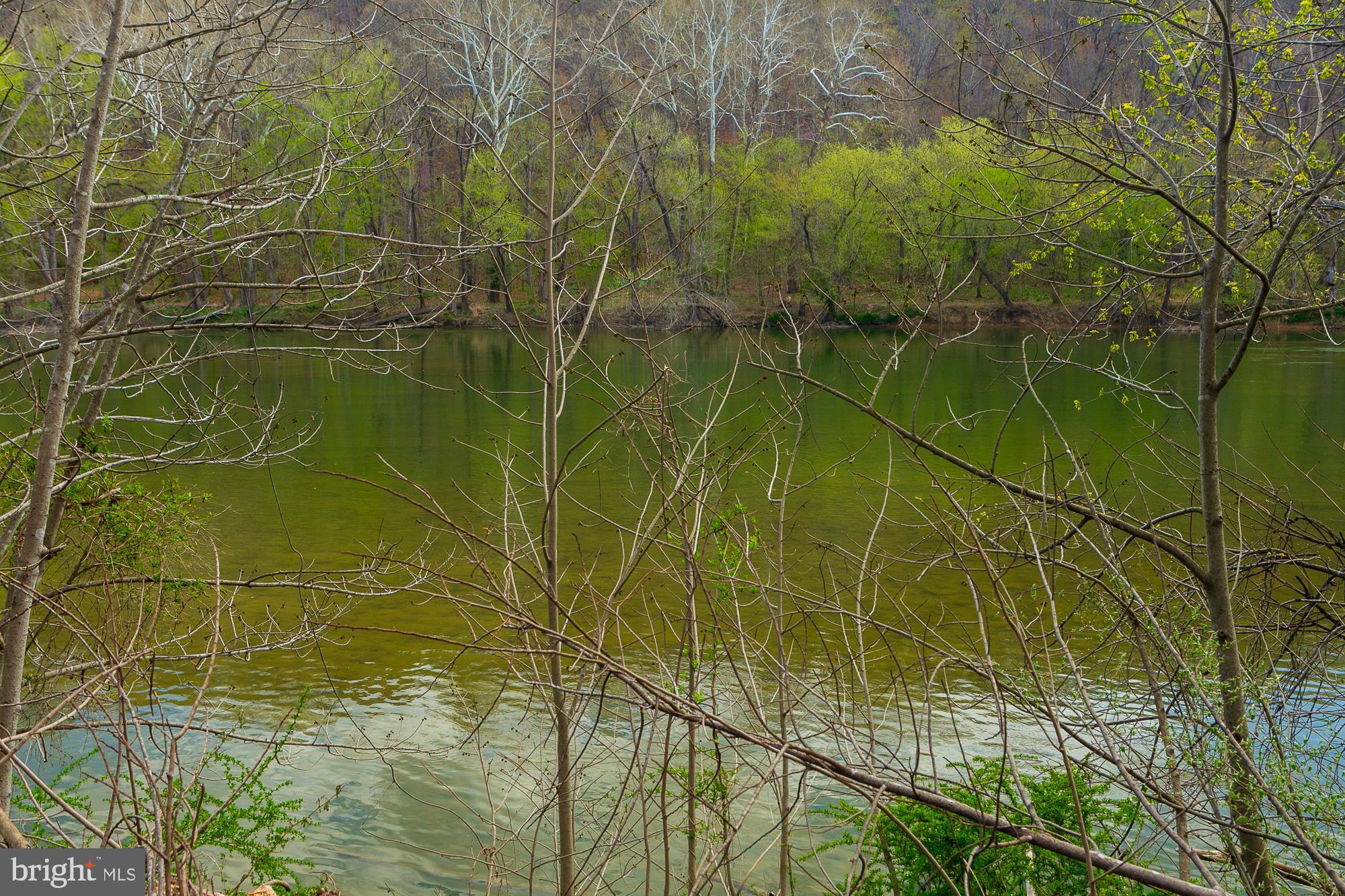 753 Seven Springs Road Charles Town, WV 25414 - Photo 41 of 128 Gallery Image 41