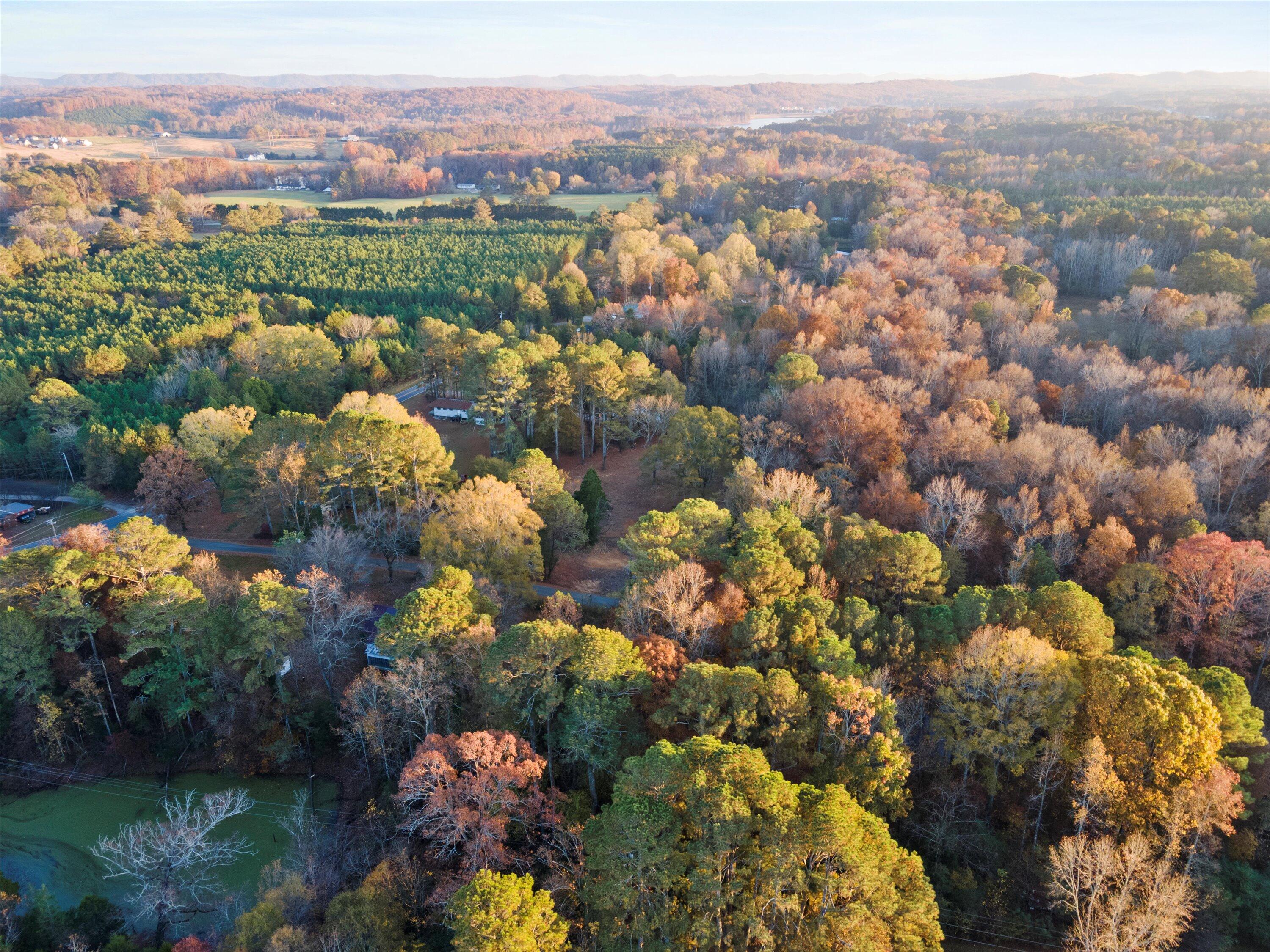 154 East Warren Road LaFayette, GA 30728 - Photo 12 of 15 1-154 E Warren Rd Aerial-01