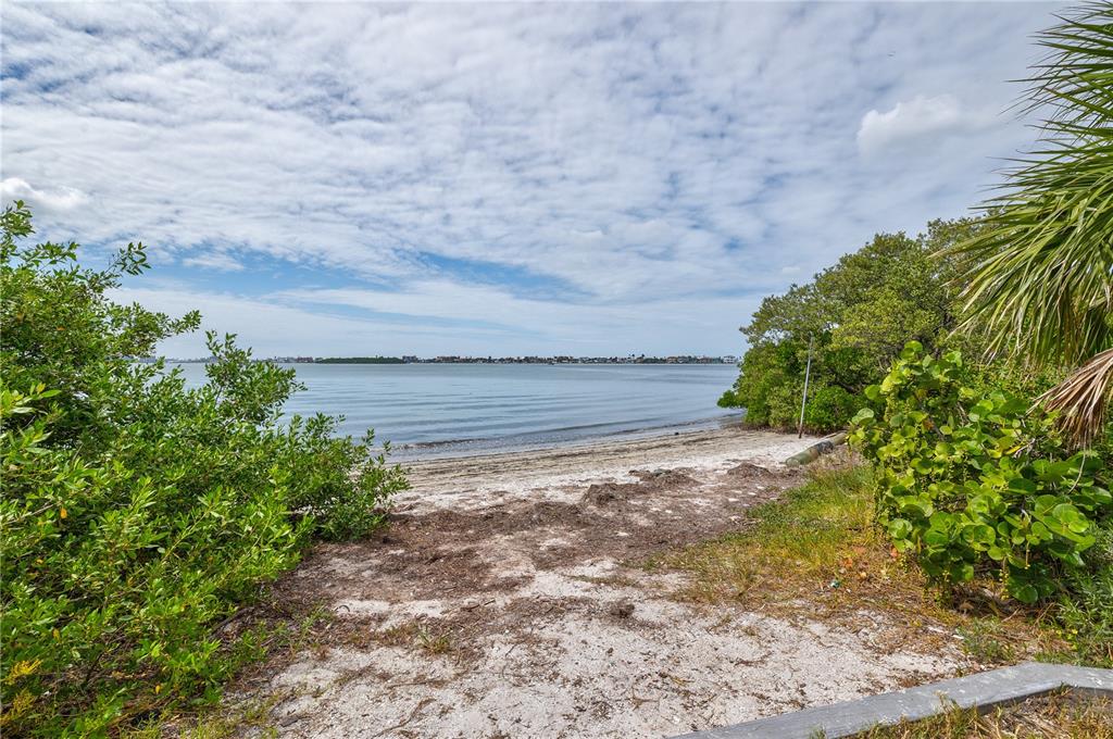 5046 99th Way North St. Petersburg, FL 33708 - Photo 39 of 41 a view of a yard with plants and large trees