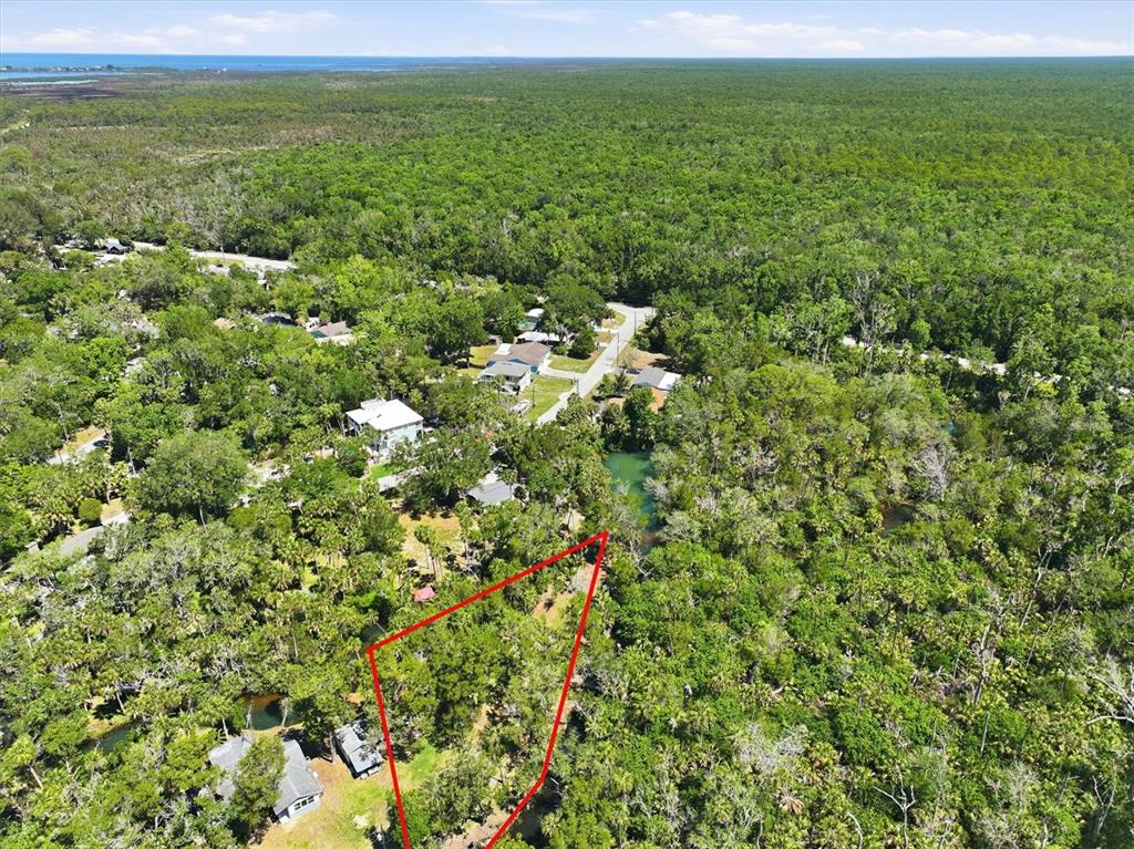 6248 Colony Circle Weeki Wachee, FL 34607 - Photo 2 of 20 a view of a green field with lots of bushes