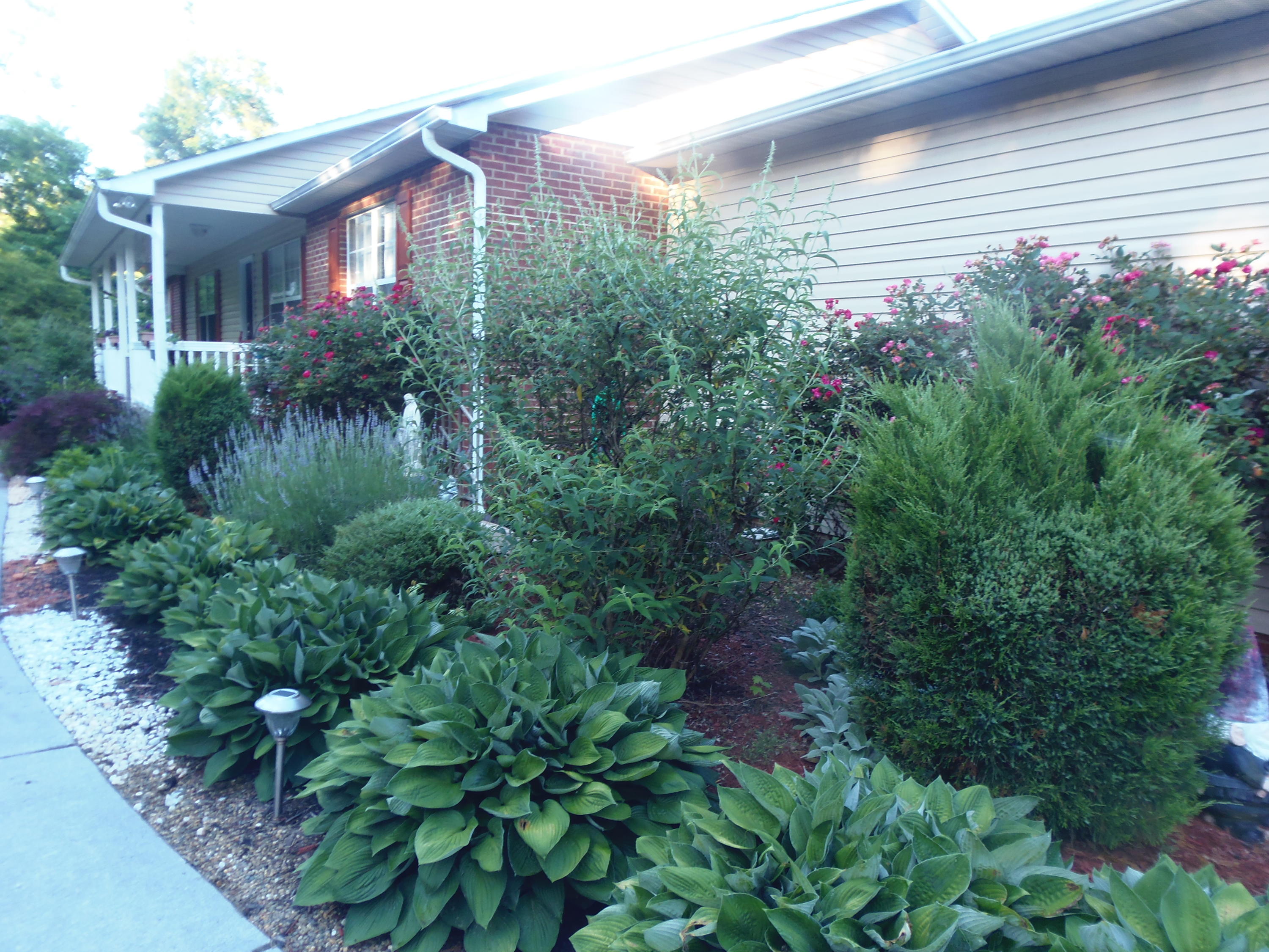 1145 Ridge Road Maryville, TN 37803 - Photo 3 of 40 A GARDEN TO LOVE!