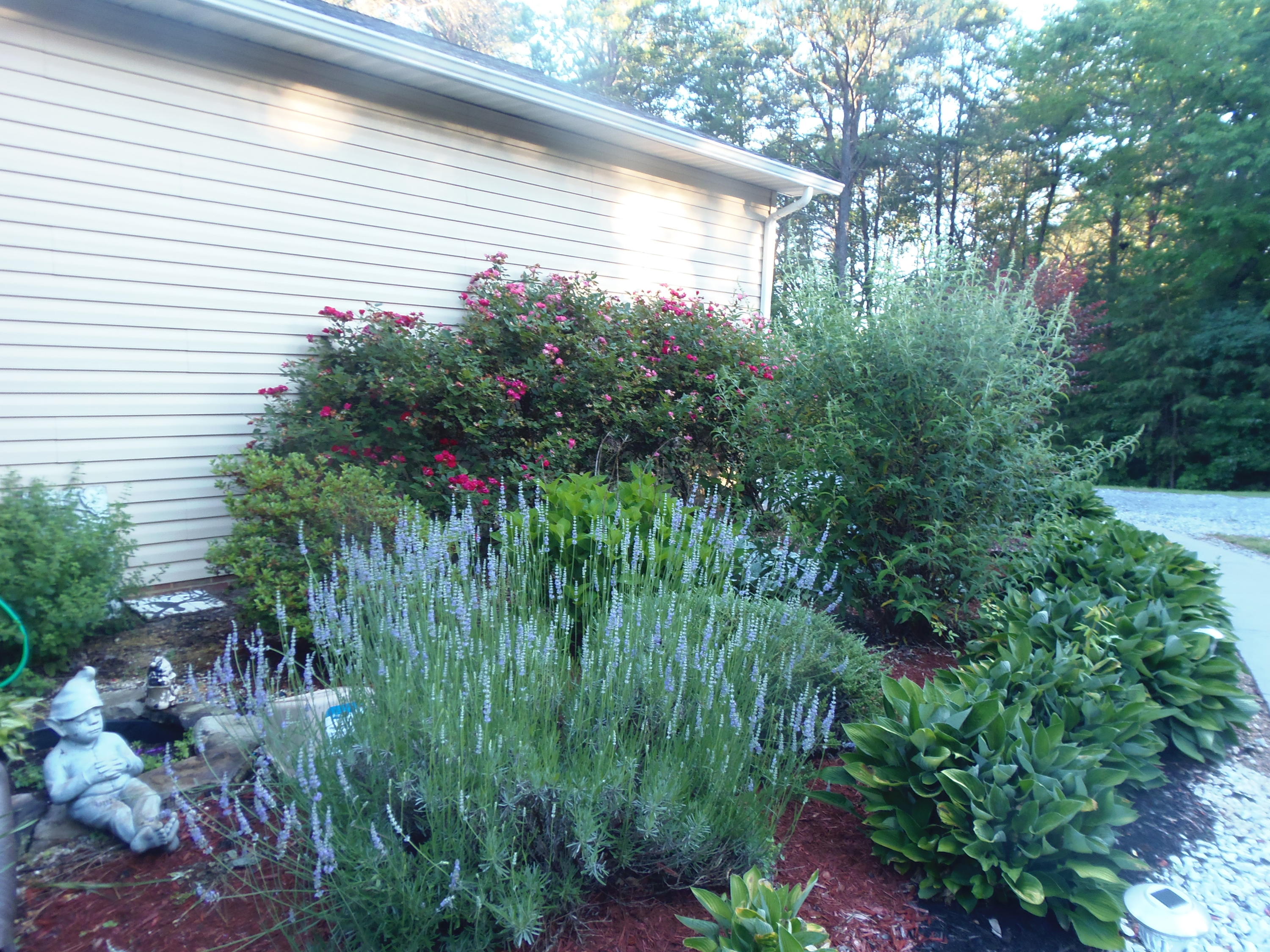 1145 Ridge Road Maryville, TN 37803 - Photo 4 of 40 P6052022