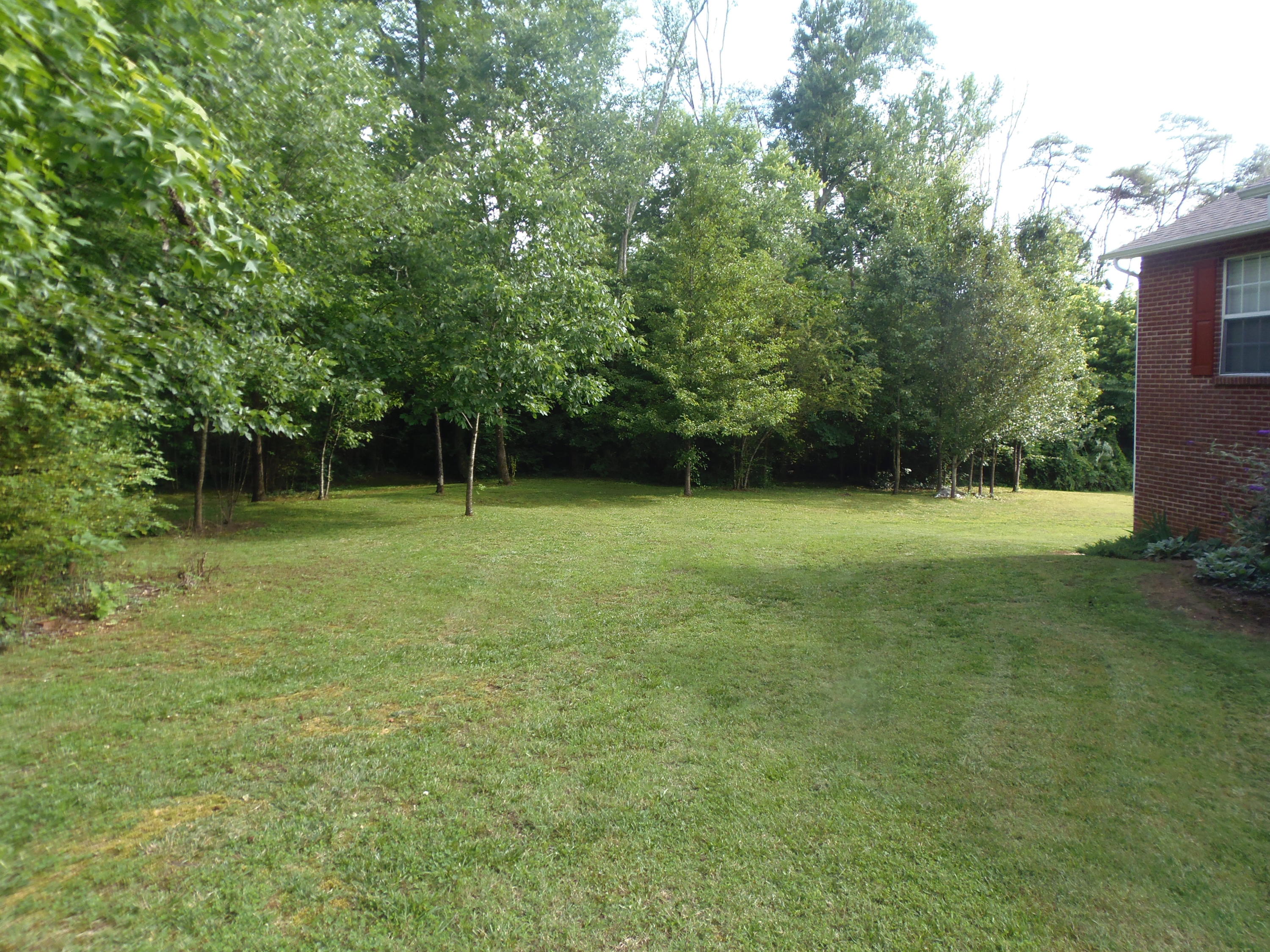 1145 Ridge Road Maryville, TN 37803 - Photo 38 of 40 BEAUTIFUL YARD!!