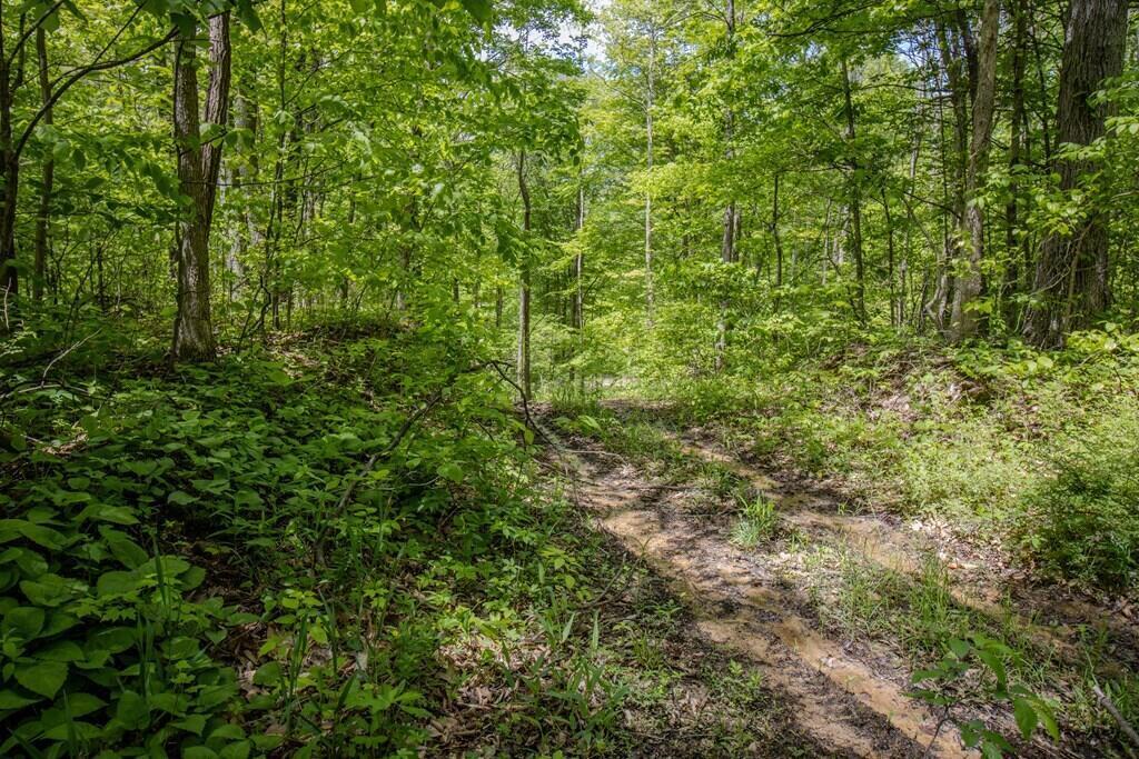0 Kinzer Road Bainbridge, OH 45612 - Photo 9 of 11 197886_2