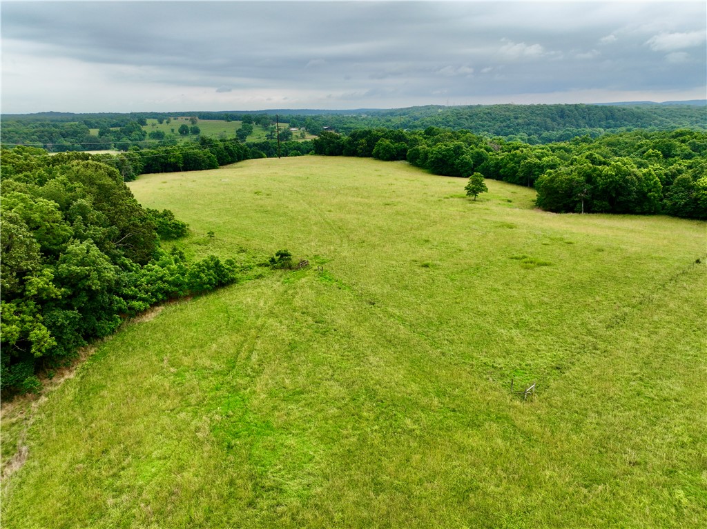 15196 Cincinnati Creek Road Summers, AR 72769 - Photo 42 of 42 Expansive green pastureland bordered by mature deciduous trees and rolling hills