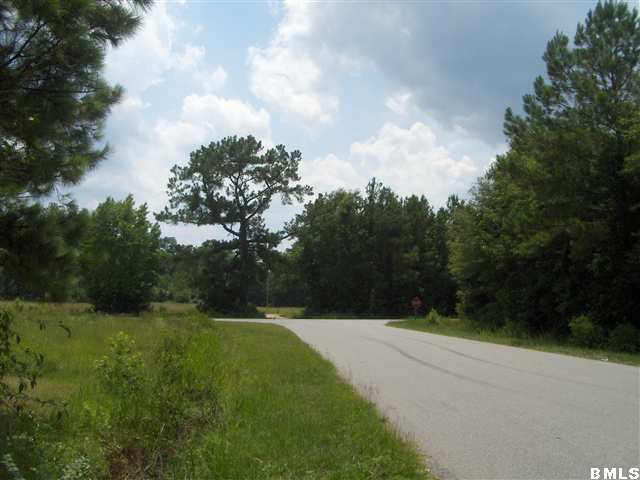 50 Tutens Landing Road Ridgeland, SC 29936 - Photo 3 of 15 Additional Photo